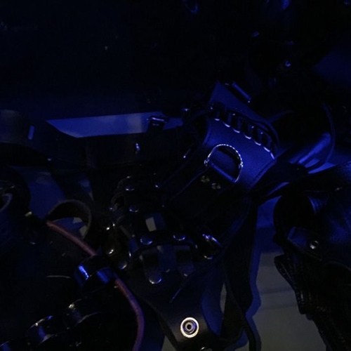 Leder Eleganz - Foto 17 von 32