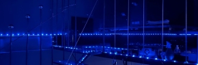 Blue Emotion