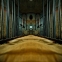 Jail House - Foto Nr. 16
