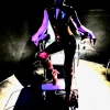 Lady Cora Champaign - Foto Nr. 13